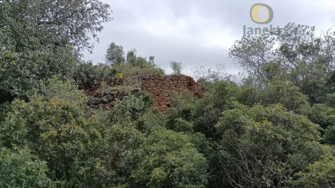 Terreno para Venda em Santa Barbara de Nexe