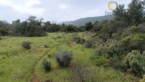 Terreno para Venda em Santa Barbara de Nexe