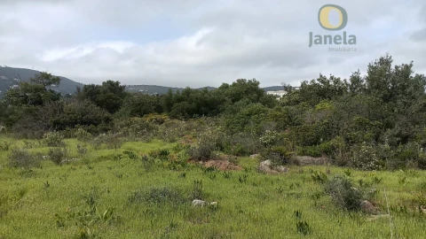 Terreno para Venda em Santa Barbara de Nexe