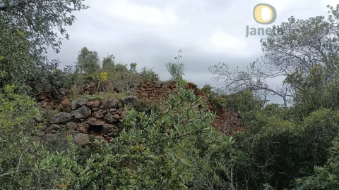 Terreno para Venda em Santa Barbara de Nexe