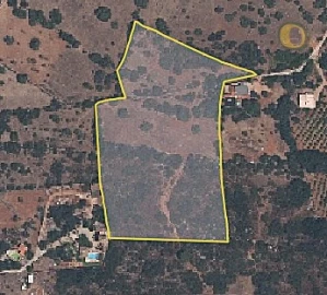 Terreno para Venda em Santa Barbara de Nexe