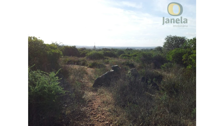 Terreno para Venda em Santa Barbara de Nexe Foto 2
