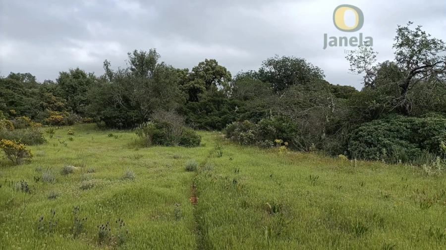Terreno para Venda em Santa Barbara de Nexe Foto 5