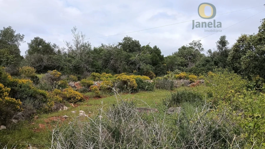 Terreno para Venda em Santa Barbara de Nexe Foto 6
