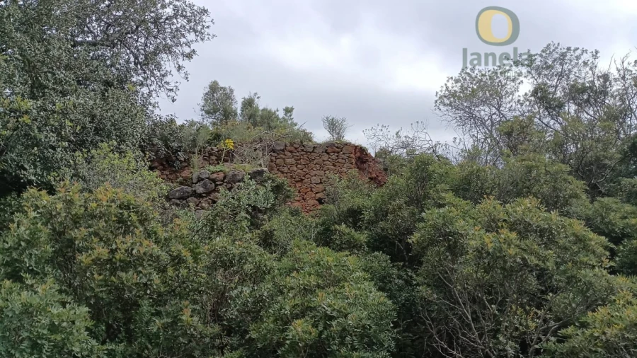 Terreno para Venda em Santa Barbara de Nexe Foto 8