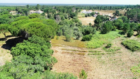 Terreno para Venda em Sesimbra (Castelo)