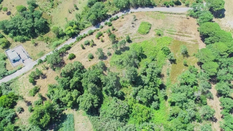 Terreno para Venda em Sesimbra (Castelo)