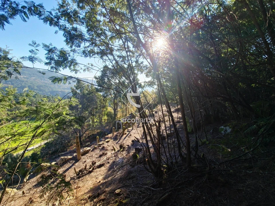 Moradia T2 para Venda em Eiras e Mei Foto 11