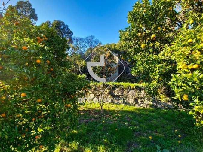 Moradia T2 para Venda em Eiras e Mei Foto 3