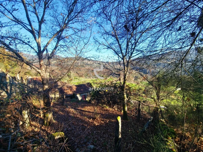 Moradia T2 para Venda em Eiras e Mei Foto 15