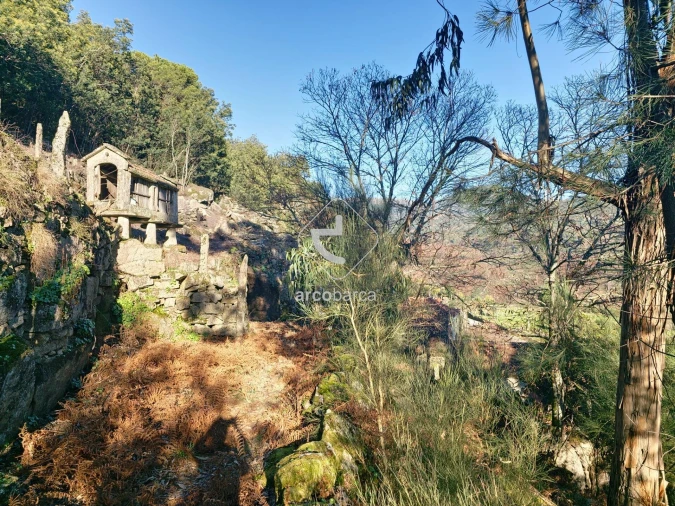 Moradia T2 para Venda em Eiras e Mei Foto 9