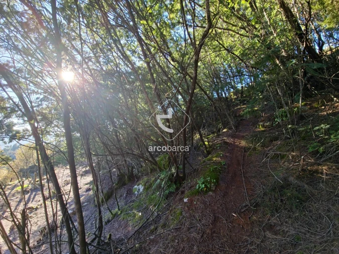 Moradia T2 para Venda em Eiras e Mei Foto 12