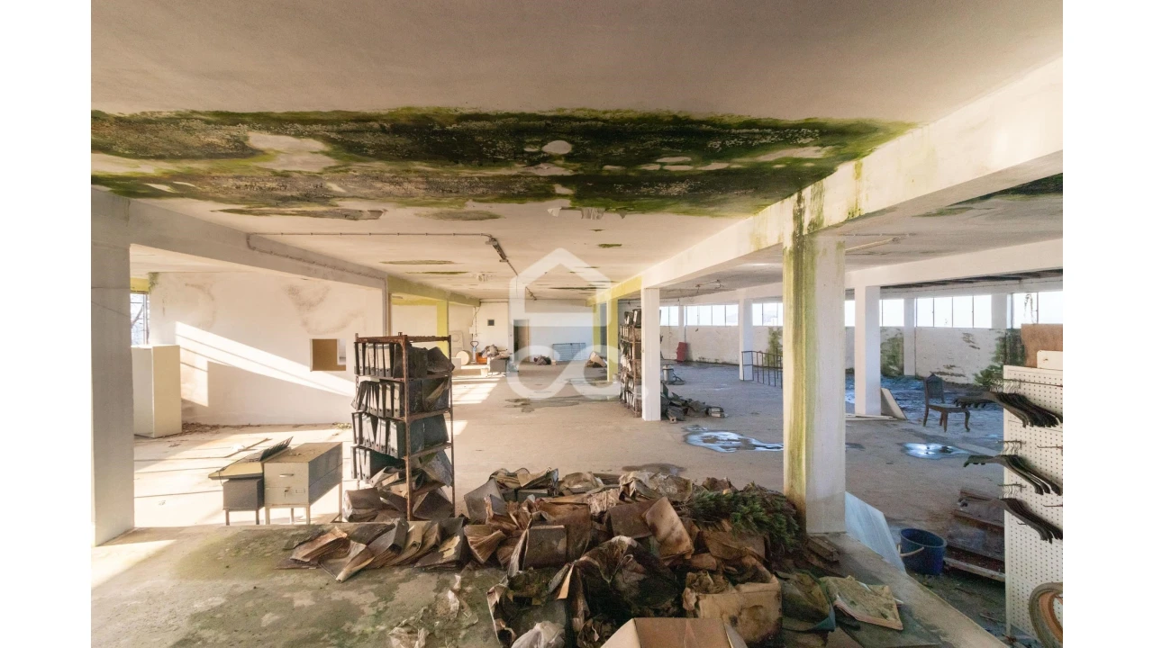 Prédio para Venda em Oliveira, São Paio e São Sebastião Foto 3