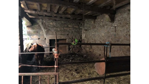 Moradia para Venda em Castro Laboreiro e Lamas de Mouro