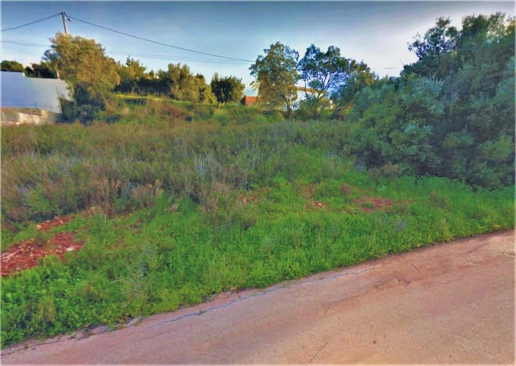 Terreno para Venda em Mexilhoeira Grande Foto 2
