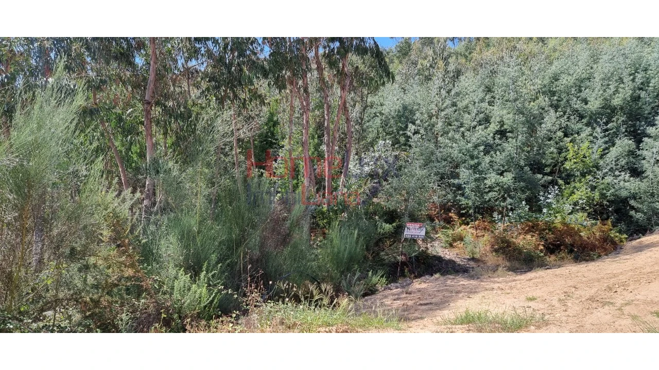 Terreno Agricola ou Rústico para Venda em Macieira de Cambra Foto 4