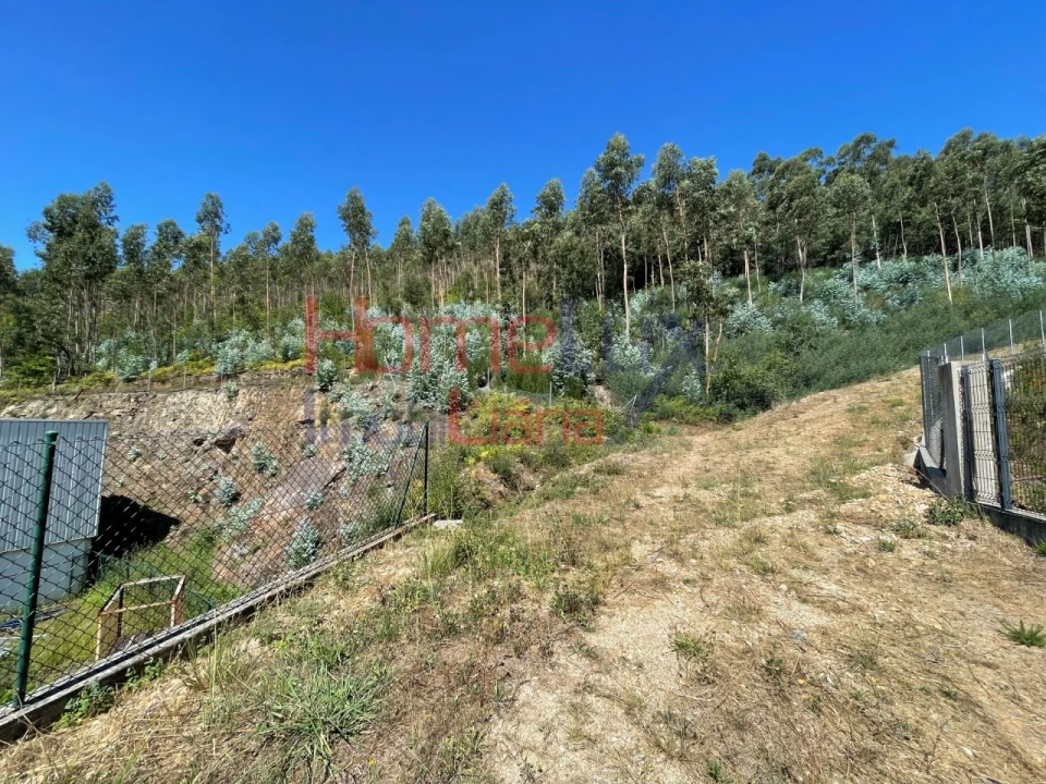 Terreno Agricola ou Rústico para Venda em Macieira de Cambra Foto 5