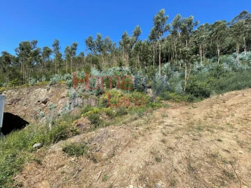 Terreno Agricola ou Rústico para Venda em Macieira de Cambra