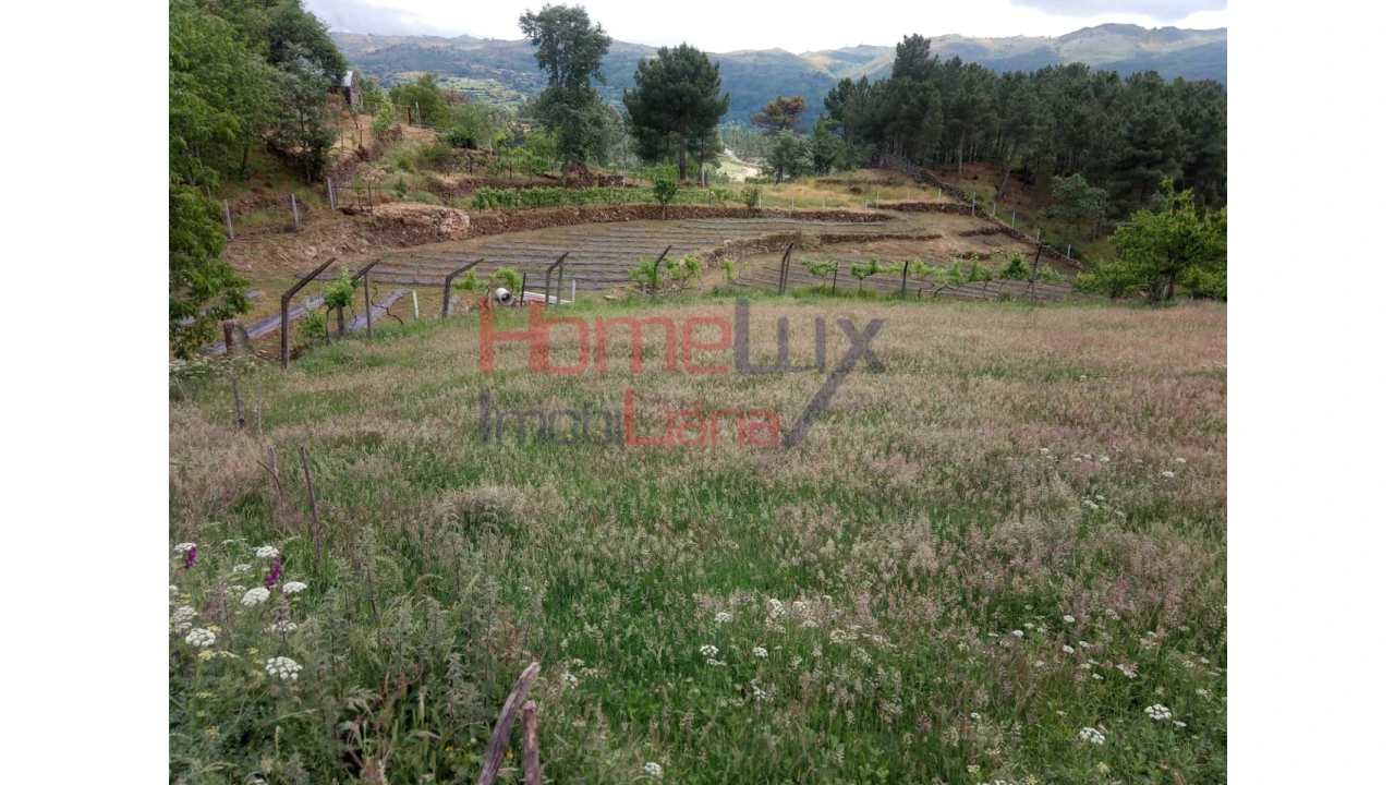 Terreno para Venda em São Cipriano Foto 8