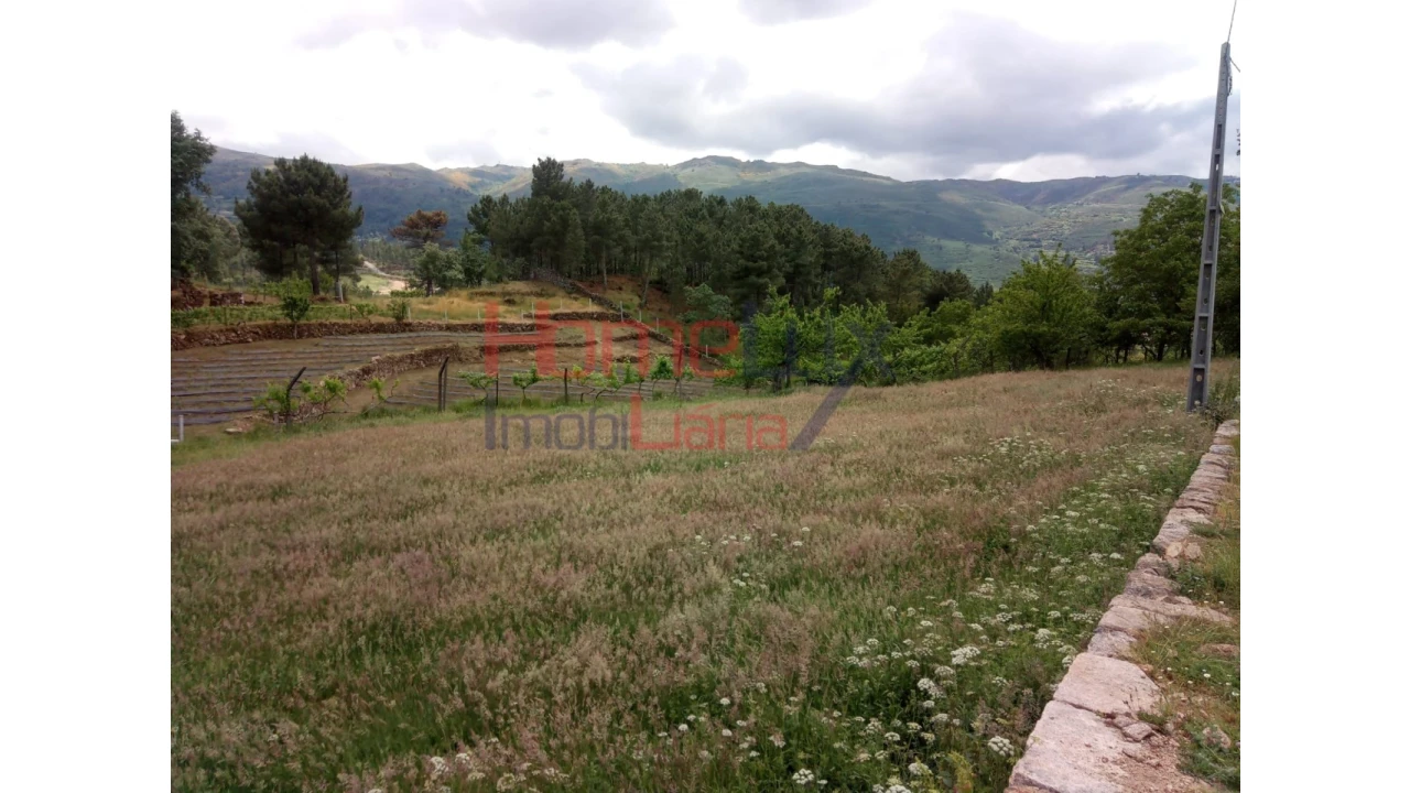 Terreno para Venda em São Cipriano Foto 9