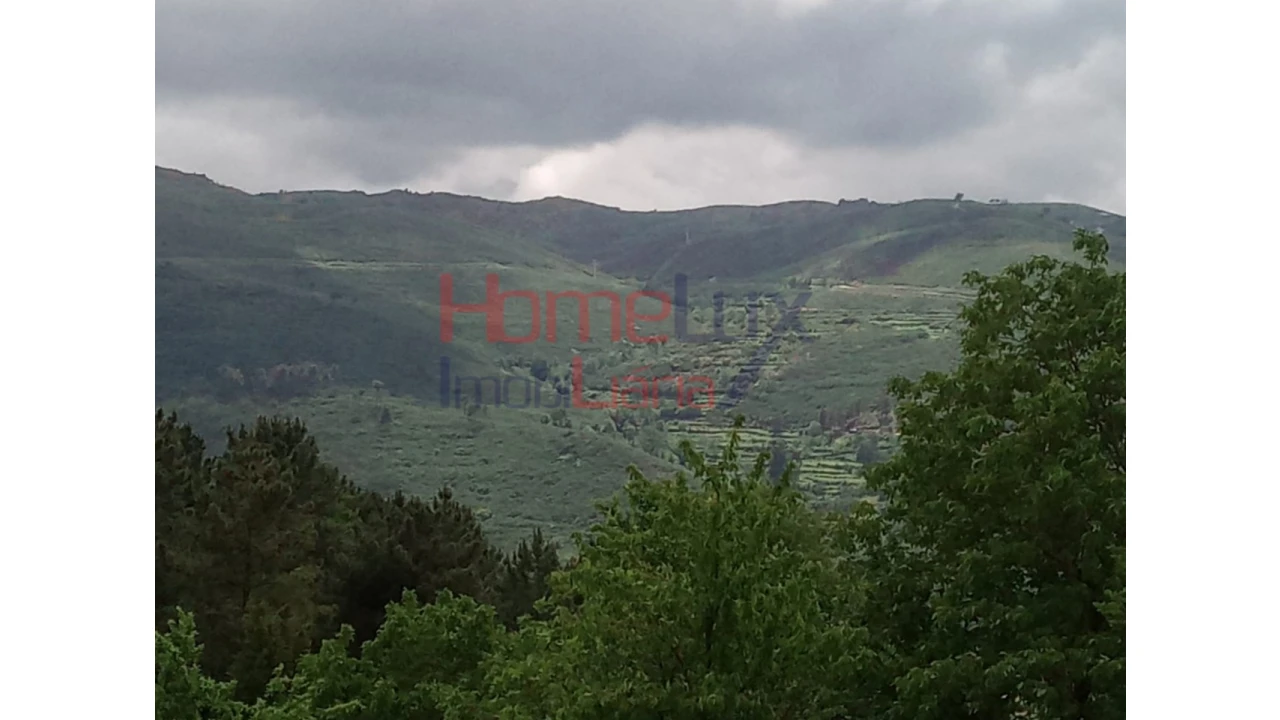 Terreno para Venda em São Cipriano Foto 10