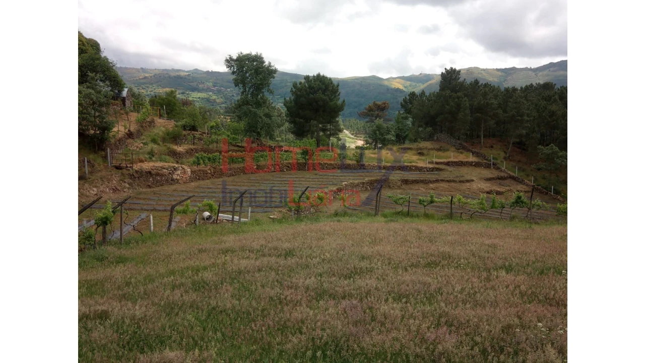 Terreno para Venda em São Cipriano Foto 12