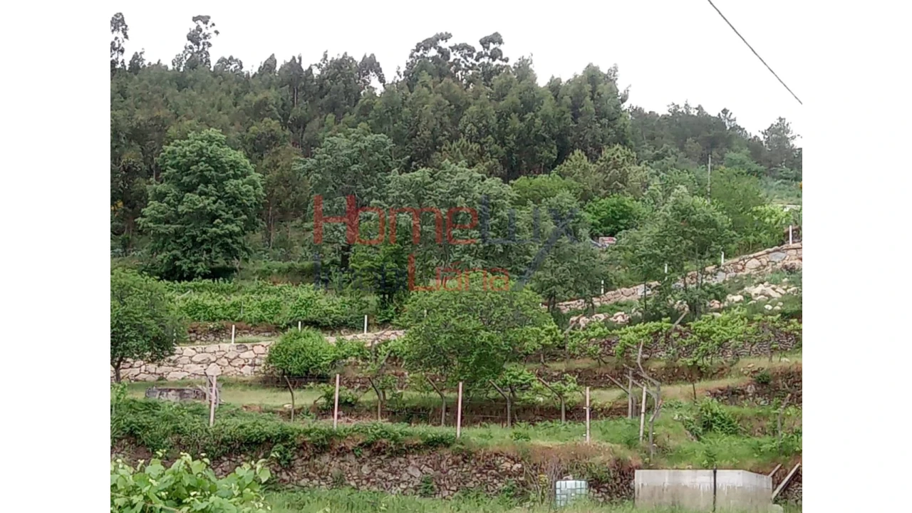 Terreno para Venda em São Cipriano Foto 16