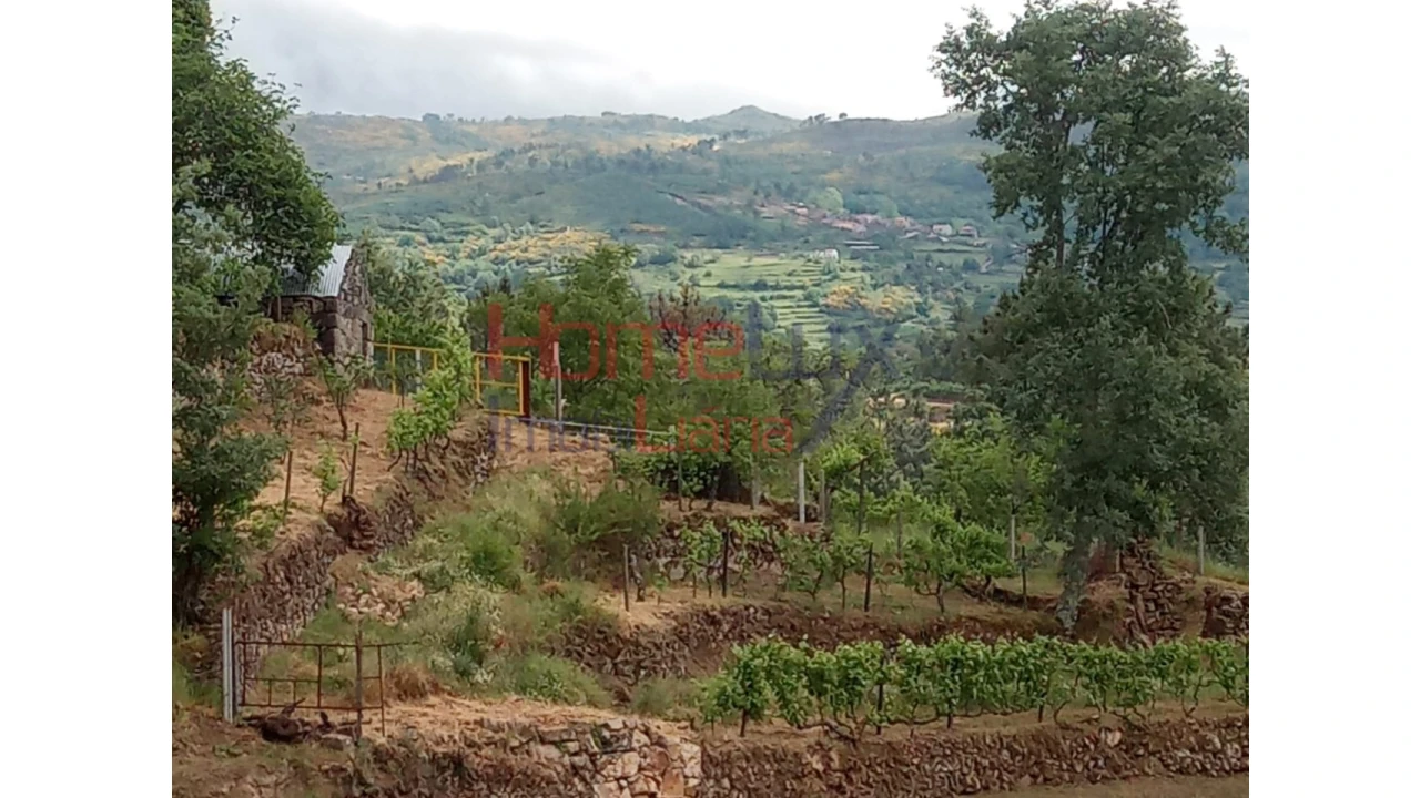 Terreno para Venda em São Cipriano Foto 17