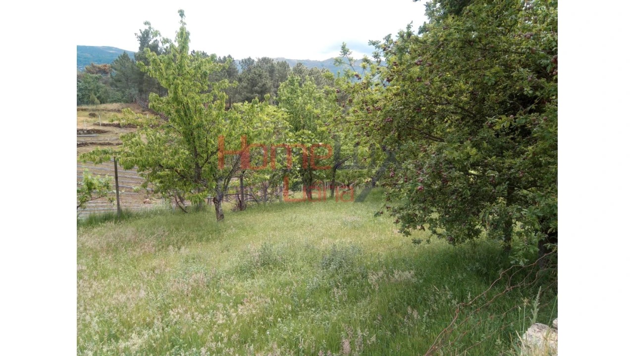 Terreno para Venda em São Cipriano Foto 19