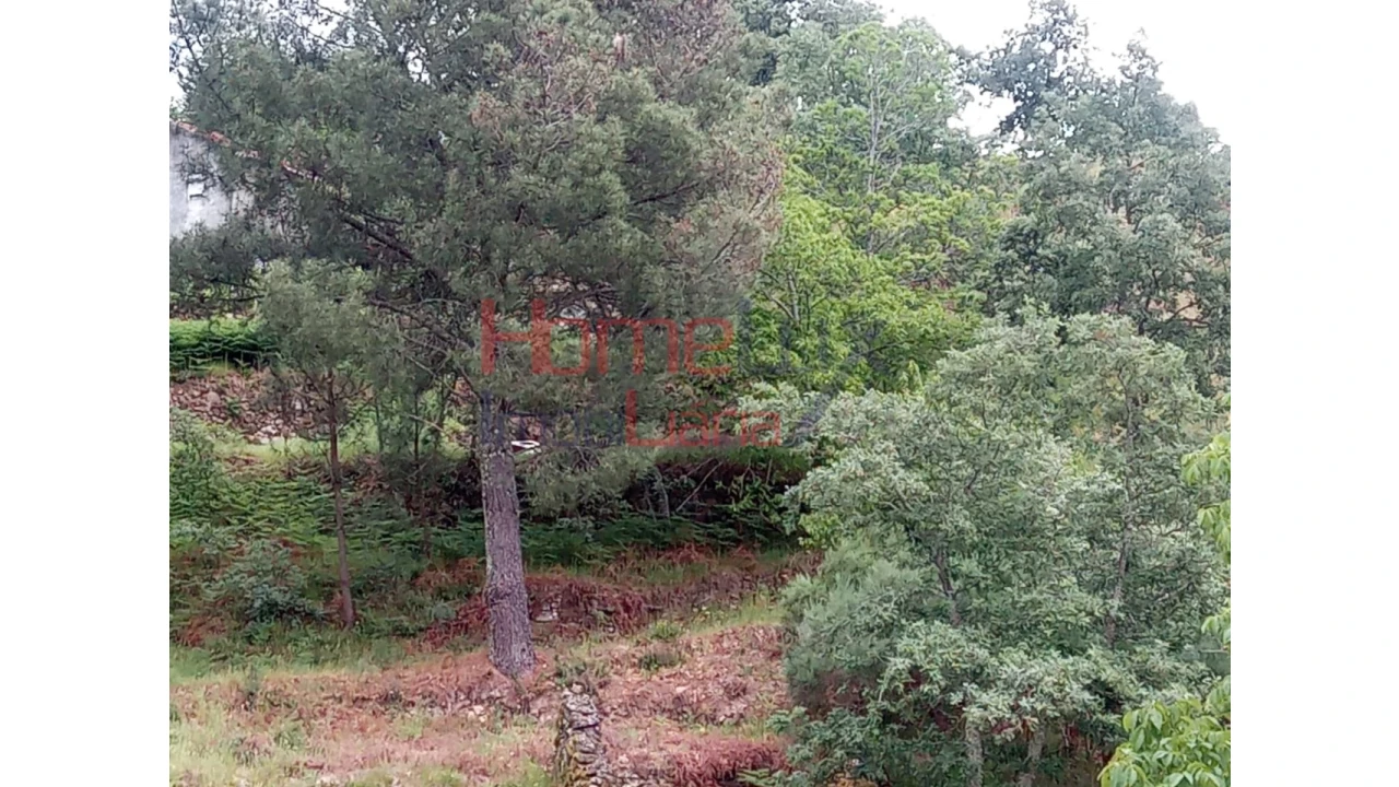 Terreno para Venda em São Cipriano Foto 21