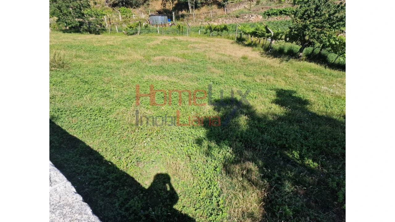 Terreno para Venda em São Cipriano Foto 2