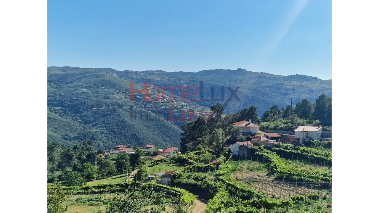Terreno para Venda em São Cipriano Foto 3