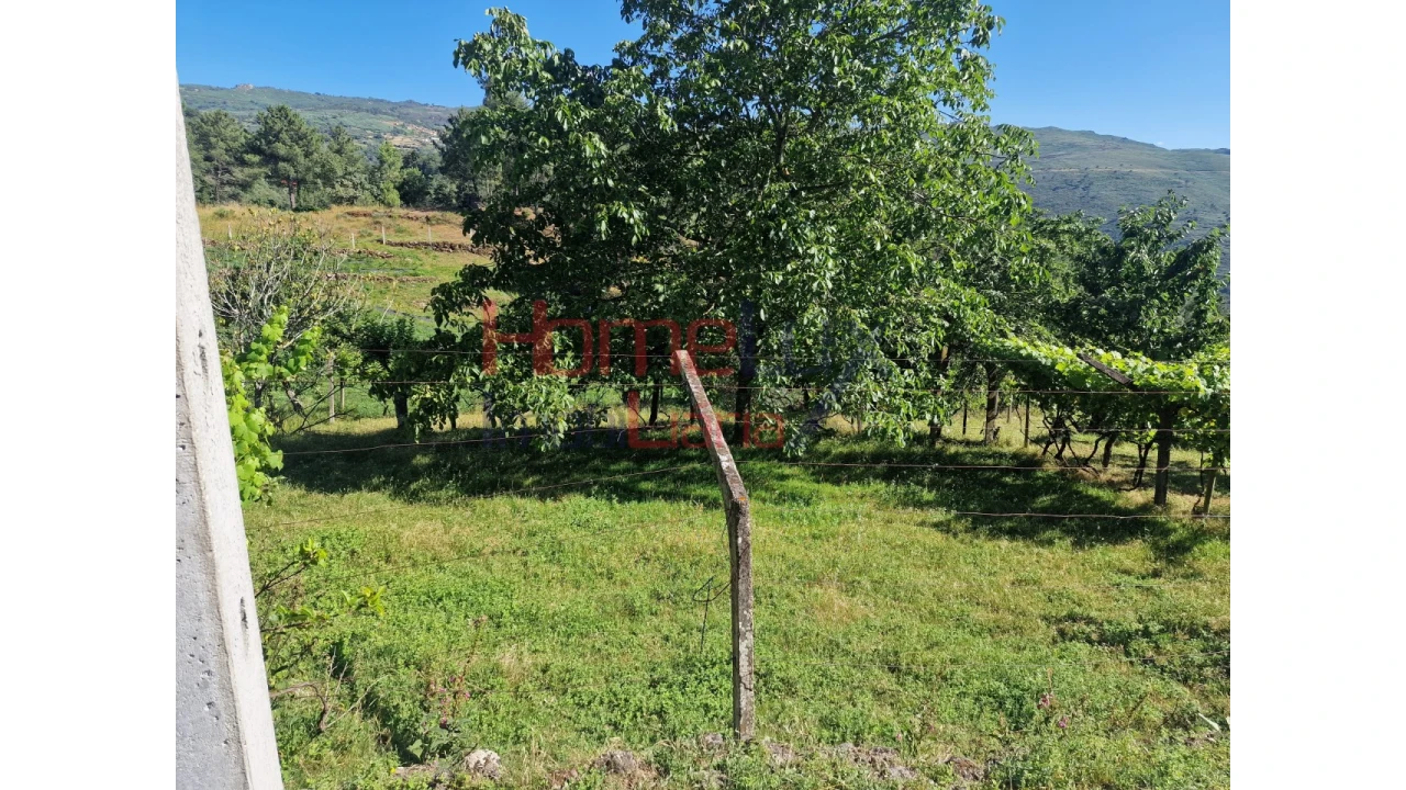 Terreno para Venda em São Cipriano Foto 4