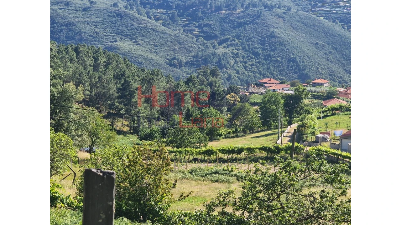 Terreno para Venda em São Cipriano Foto 5