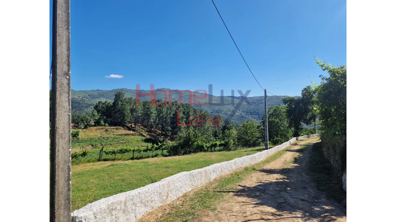 Terreno para Venda em São Cipriano Foto 24
