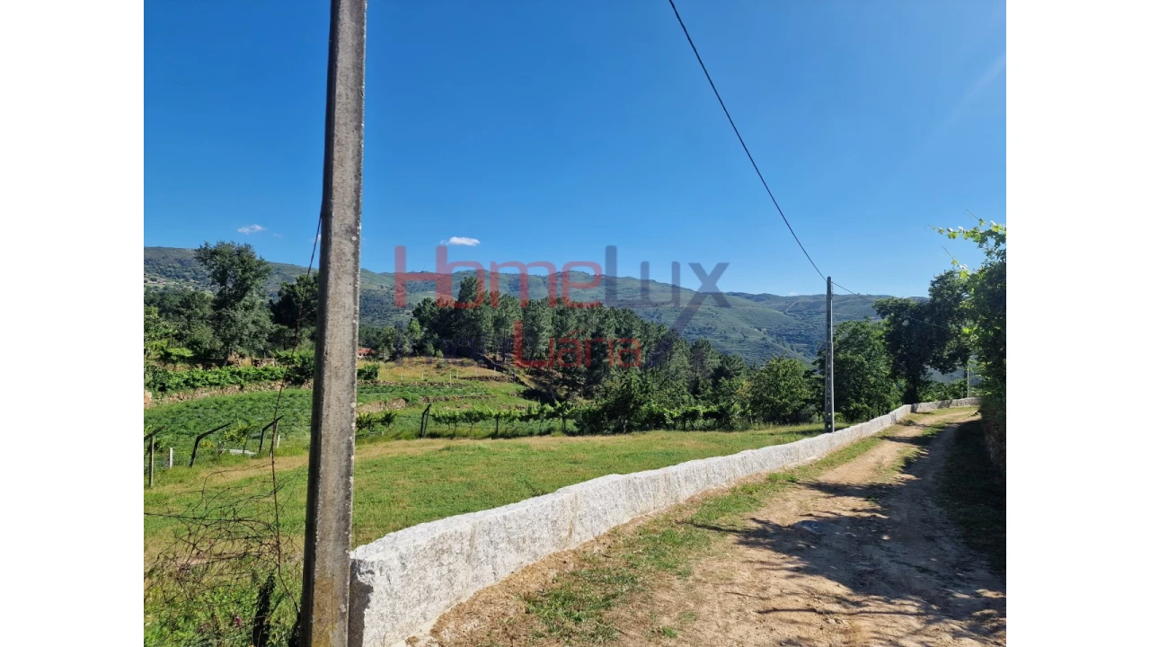 Terreno para Venda em São Cipriano Foto 25
