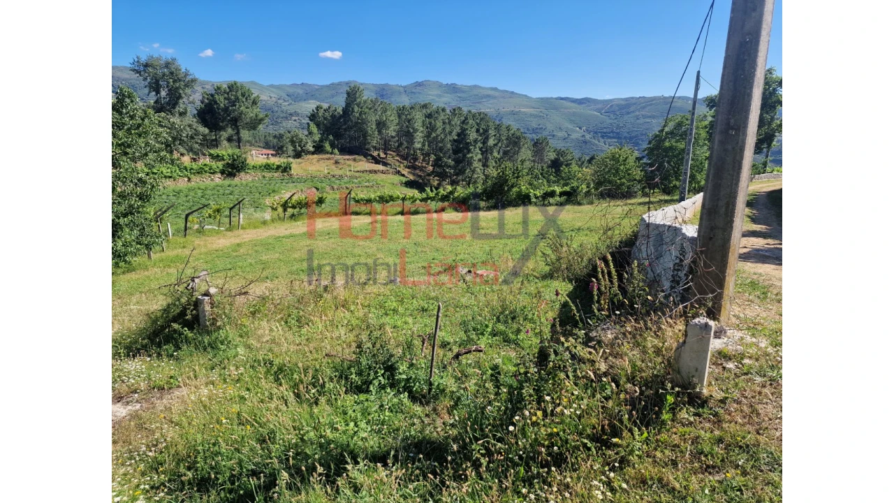 Terreno para Venda em São Cipriano Foto 28