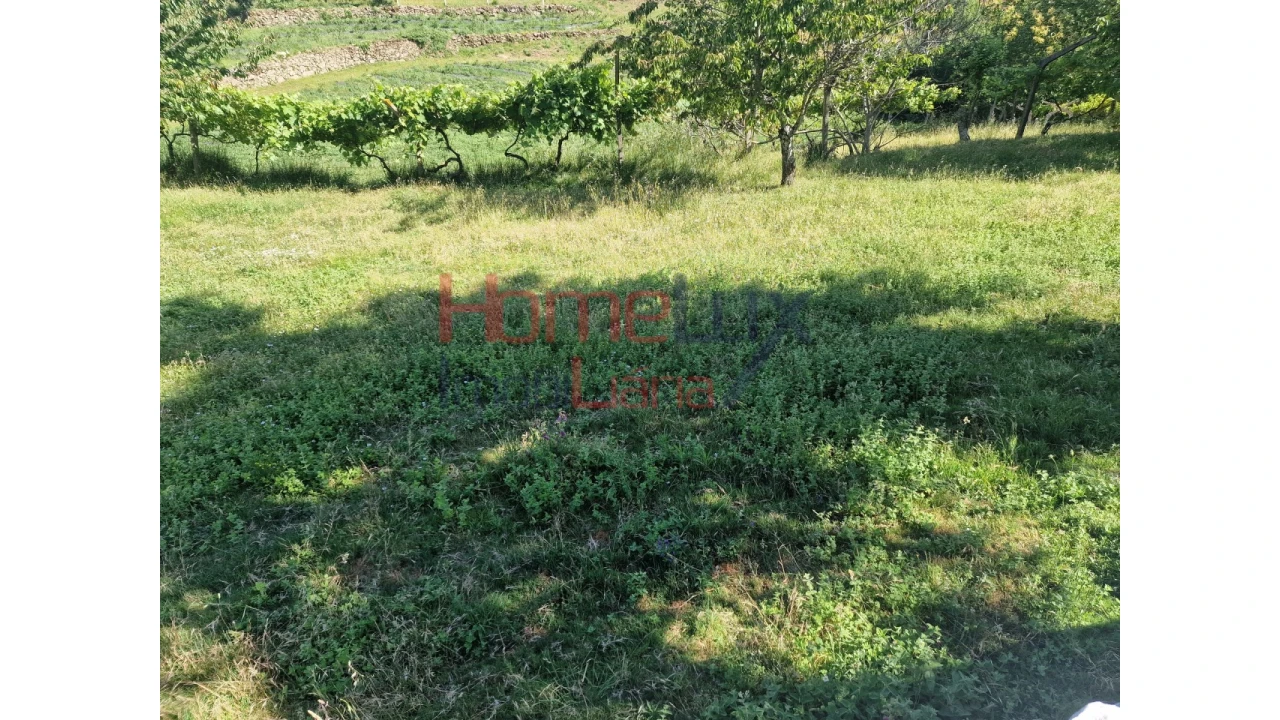 Terreno para Venda em São Cipriano Foto 30