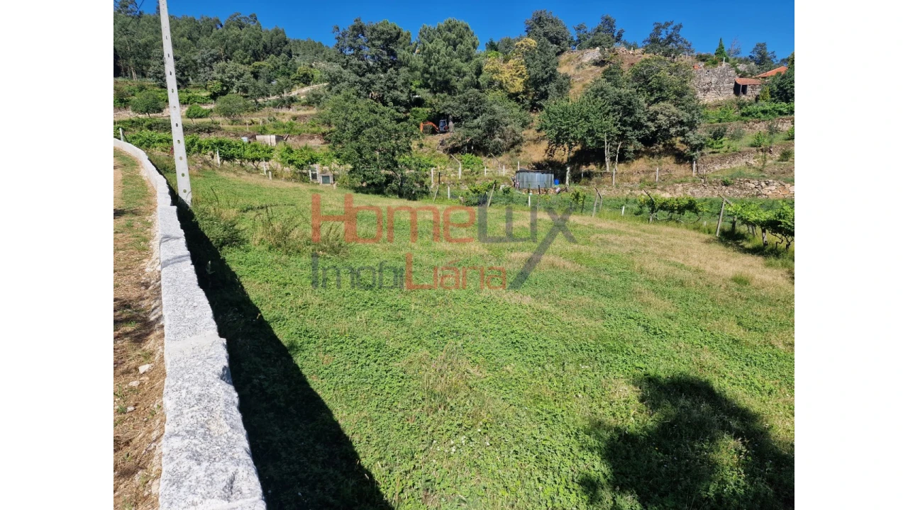 Terreno para Venda em São Cipriano Foto 32