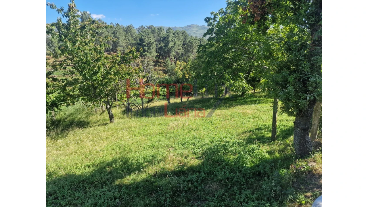 Terreno para Venda em São Cipriano Foto 36