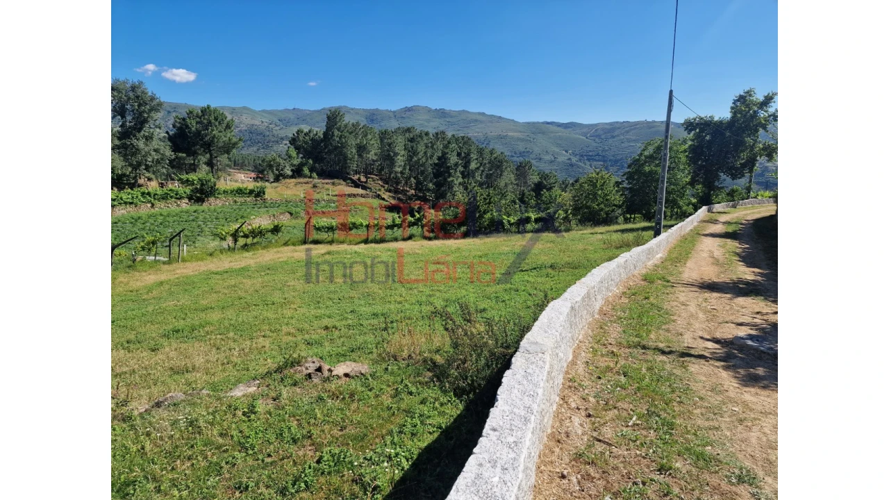 Terreno para Venda em São Cipriano Foto 37