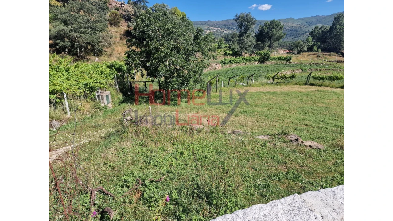 Terreno para Venda em São Cipriano Foto 38