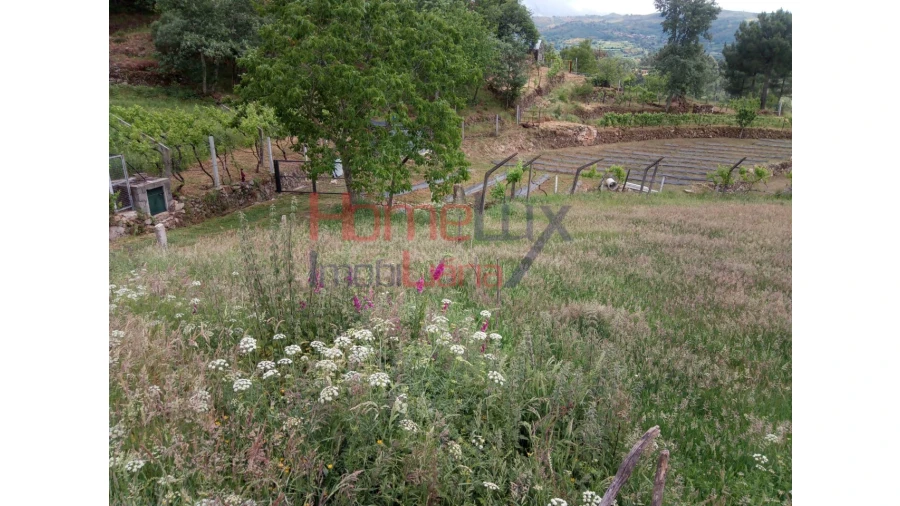Terreno para Venda em São Cipriano Foto 7