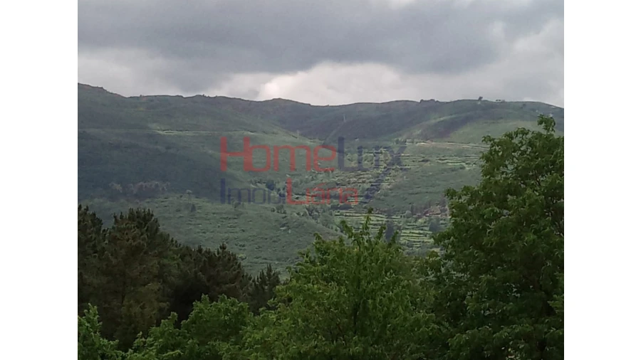 Terreno para Venda em São Cipriano Foto 10