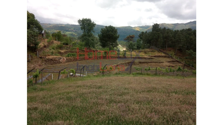 Terreno para Venda em São Cipriano Foto 12