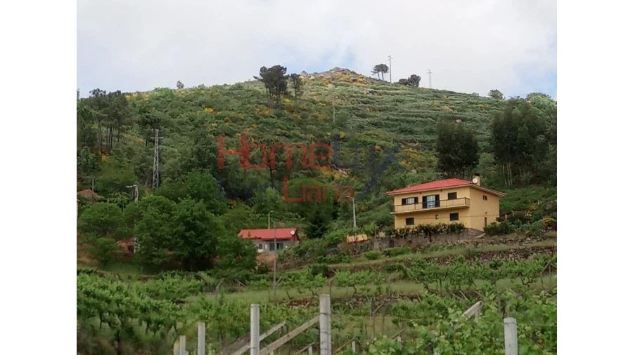 Terreno para Venda em São Cipriano Foto 13