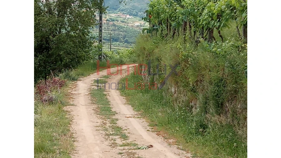 Terreno para Venda em São Cipriano Foto 15