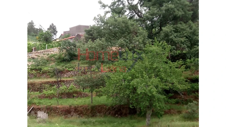 Terreno para Venda em São Cipriano Foto 18