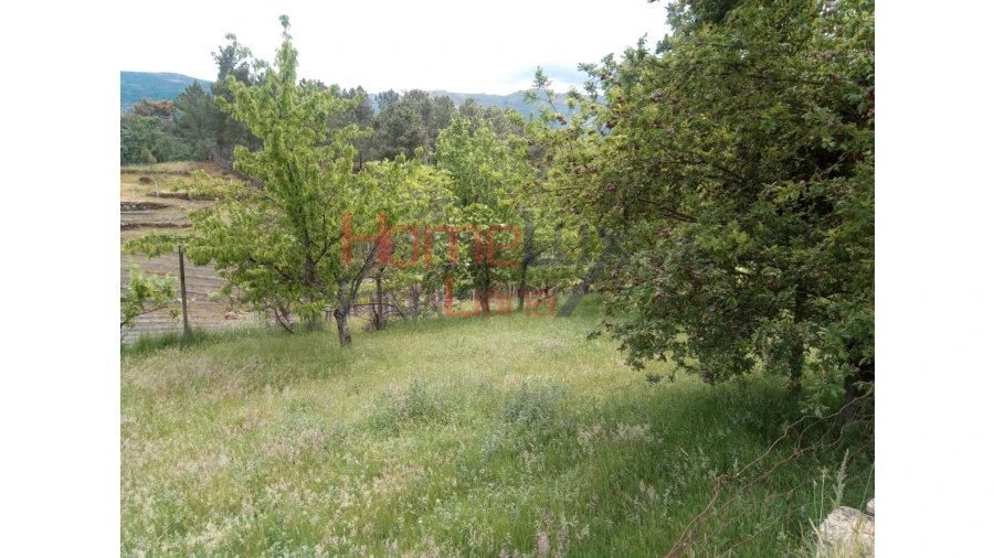 Terreno para Venda em São Cipriano Foto 19