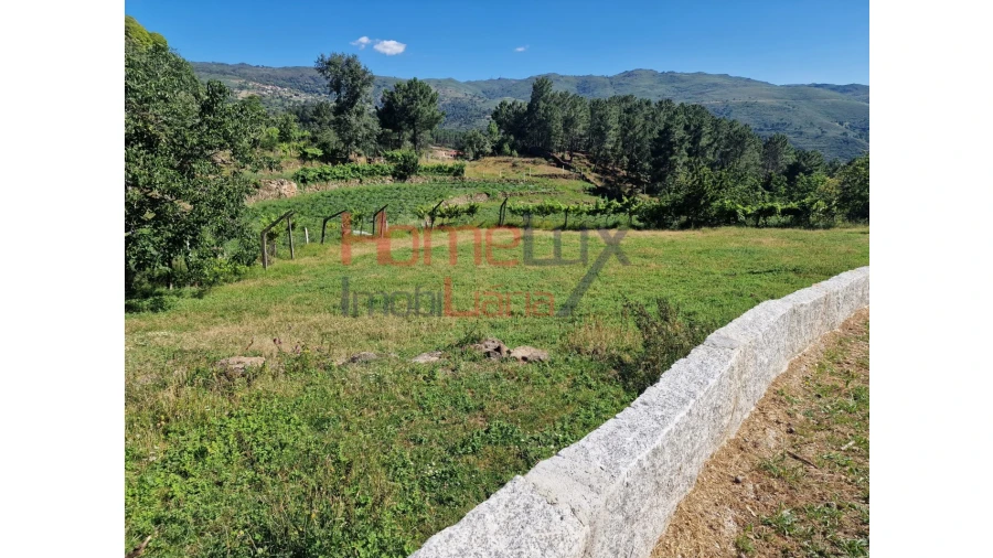 Terreno para Venda em São Cipriano